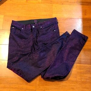 Tripp NYC Daang Goodman | Metallic Glitter Skinny Pants 28/7